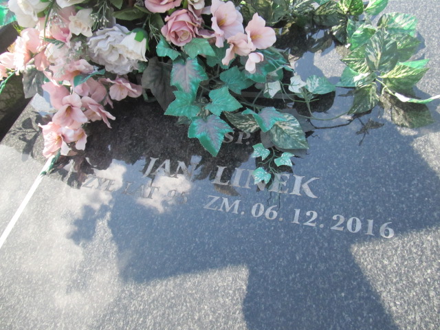 Anna Linek Sulejówek - Grobonet - Wyszukiwarka osób pochowanych