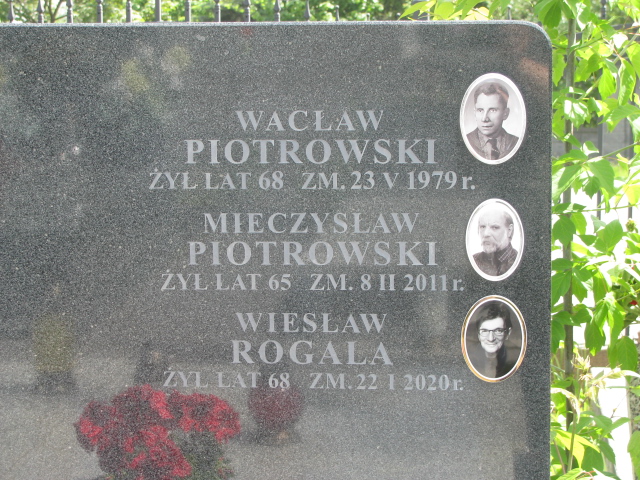 Małgorzata Głuch Sulejówek - Grobonet - Wyszukiwarka osób pochowanych